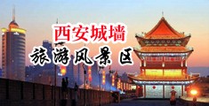 大肉棒插入小B中国陕西-西安城墙旅游风景区
